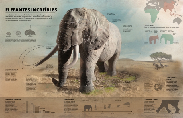 elefante-ilustracion-big